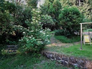 Garten mit Hollunderstrauch Haus Sabina