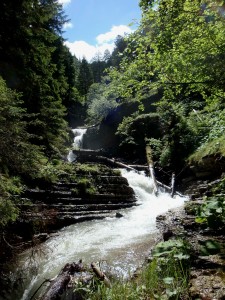 Geologensteig Wasserfall    