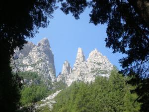 Schlernblick vom Geologensteig